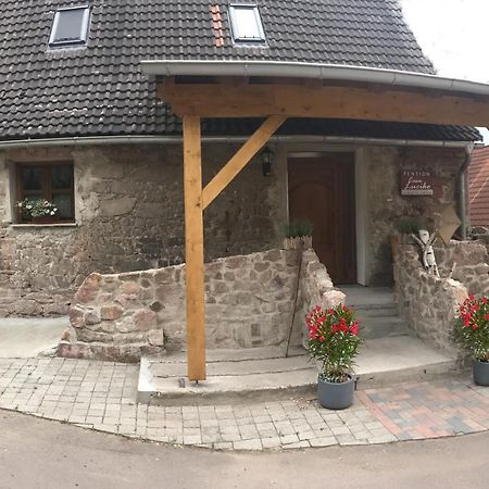 Pension Casa Luciko Brachwitz Екстер'єр фото